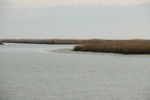 resIMG_20150216_094518_4160.JPG